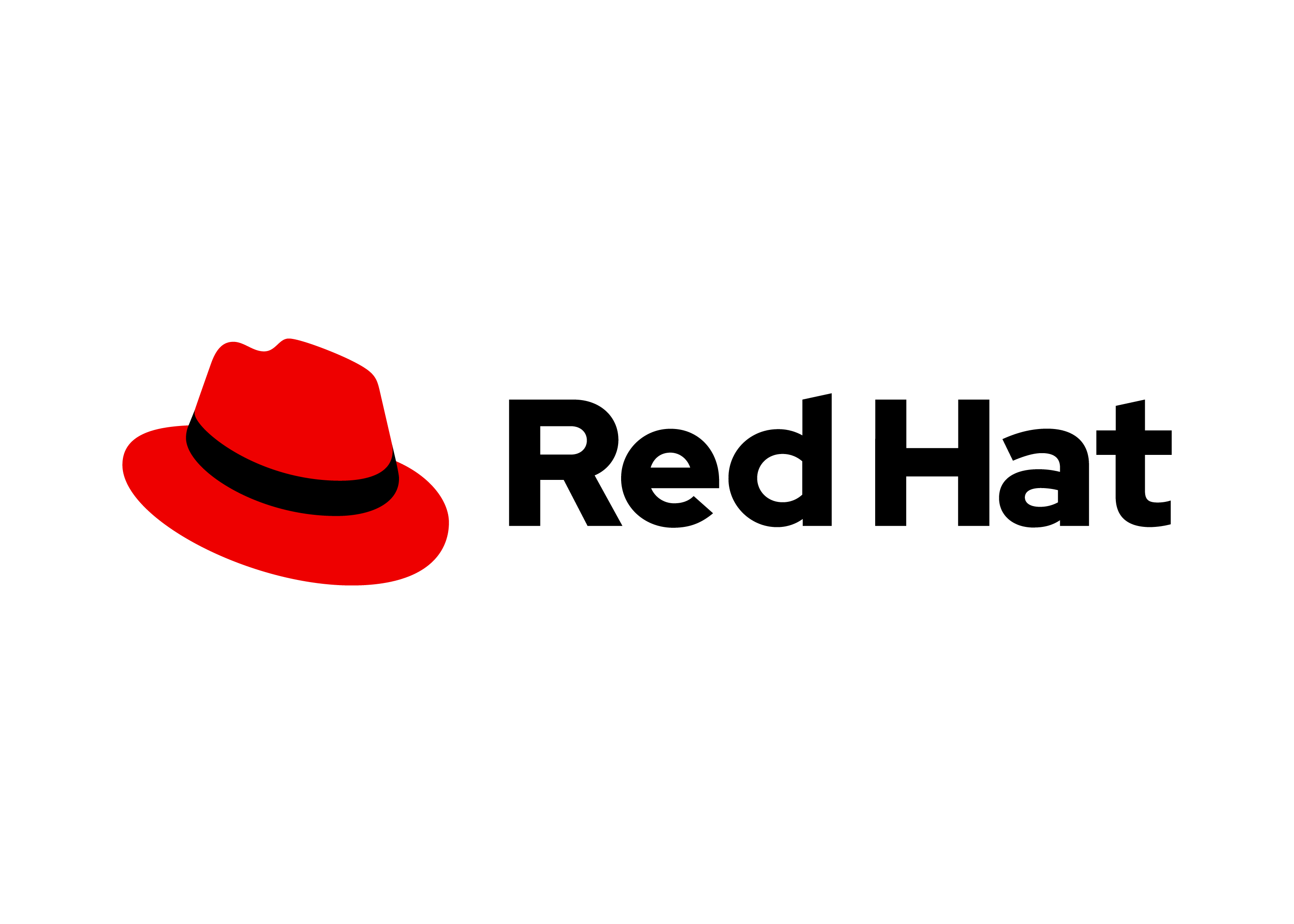 Logo of our partner Red Hat